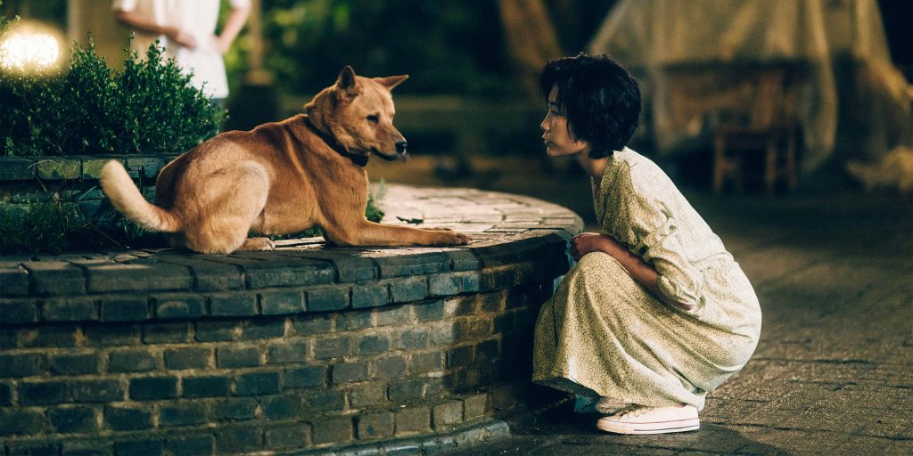 Chinese 'Hachiko' Encourages Moviegoers to Adopt Pets |